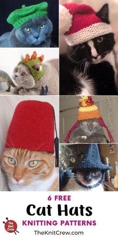 six free cat hats knitting patterns for cats