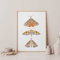 three moths in different colors on a white wall next to some vases and other items