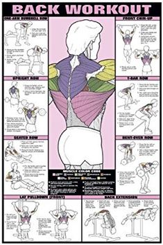 the back workout poster with instructions for how to do it and what to use it