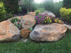 a rock garden with flowers growing out of it