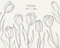 tulips and other flowers line up against a white background with the words tulip svg + png