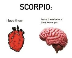 scorpio and i love them, leave them before they leave you brain