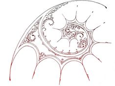 an image of a drawing of a circular object in the shape of a flower ornament