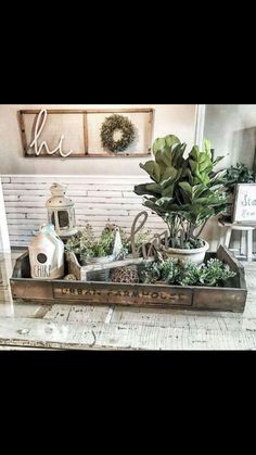 a tray filled with potted plants on top of a table