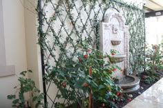 an outdoor fountain surrounded by greenery and potted plants on the side of a building