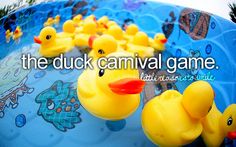 the duck carnival game is being displayed on an ipad screen with rubber ducks in it