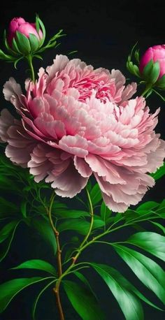 a pink flower with green leaves on a black background is featured in this image, it appears to be an oil painting