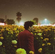 a man standing in a field of flowers at night with the lights on behind him