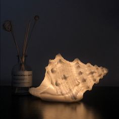 a white shell lamp sitting on top of a table next to a bottle and reeds