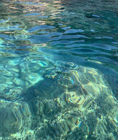 the water is very clear and blue with little ripples on it's surface