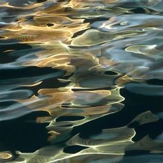 the water is reflecting light on it's surface