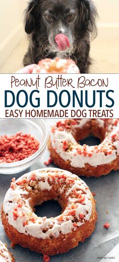 Homemade dog donuts made with peanut butter! Includes yogurt frosting and bacon sprinkles for a homemade dog treat your dog will love. Yogurt Frosting, Lou Dog, Homemade Pet Treats, Bacon Dog, Pet Treats Recipes, Dog Treats Homemade Easy, Cookies Homemade, Dog Biscuit Recipes