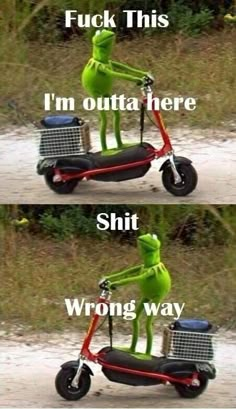 the frog is riding on a scooter with two different words in front of it