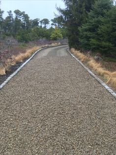 an empty road surrounded by trees and bushes