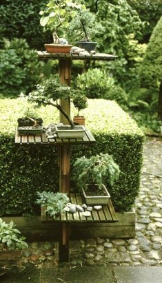 an outdoor garden area with various plants and potted trees in the middle of it