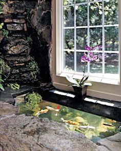 a fish pond in the corner of a room with a large window and stone walls