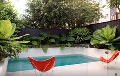 two orange chairs sitting on top of a wooden deck next to a pool surrounded by greenery