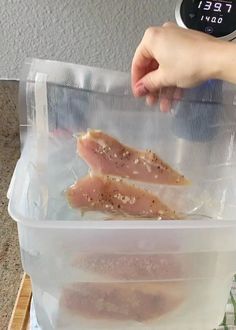 Sous Vide Chicken Legs Recipes, Sous Vide Chicken Tenders, Sous Vide Spatchcock Chicken, Chicken Sous Vide, Sous Vide Fried Chicken, Chicken Thigh Sous Vide, Sous Vide Chicken Ballotine, Sous Vide Recipes Chicken, Chicken Breast Tenders