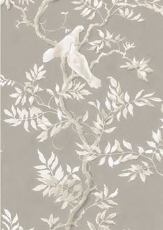 a white bird sitting on top of a tree next to a gray and white wall