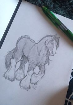 a pencil drawing of a horse on paper with a green ballpoint pen next to it