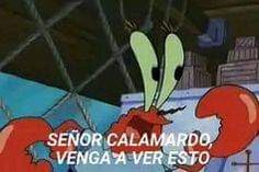 an animated image of two red lobsters holding each other's hands with the caption senior calamard, venga a ver esto