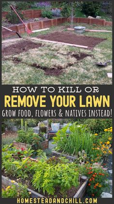 an image of a garden with the words how to kill or remove your lawn grow food, flowers and natives instead