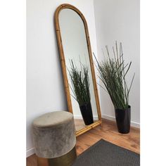 a mirror sitting on top of a wooden floor next to a plant potted in front of it