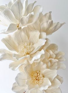 three large white flowers are in a vase