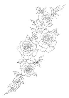 three roses with leaves on the stems are drawn in black and white, against a white background