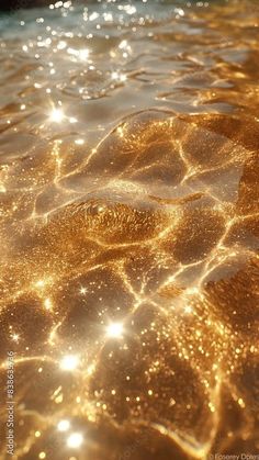 the water is shiny and golden with some light reflecting off it's surface,