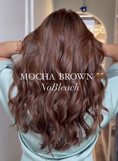 Mocha Hair Color Balayage, Cappuccino Hair Color With Highlights, Truffle Brown Hair Color, Chocolate Lab Hair Color, Fall Hair Colors For Brown Skin, Chestnut Chocolate Brown Hair, Rich Mocha Brown Hair, Brown Mocha Hair Color, Balayage Mocha Brown