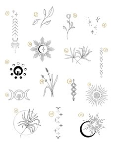 an image of different types of flowers and plants on a white background with the letter o in