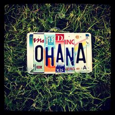 a license plate that is laying in the grass