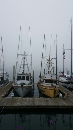 three boats are docked at a dock in the fog