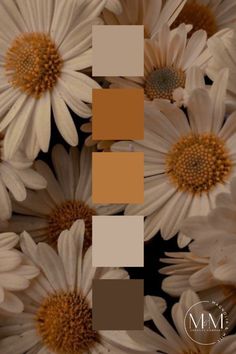 some white and brown flowers with the words mme on it's bottom corner