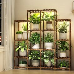 a shelf filled with potted plants next to a window