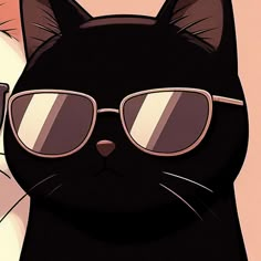 a black cat with sunglasses on it's face