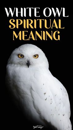 an owl with the words white owl spirital meaning on it's face and yellow eyes