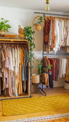 a closet filled with lots of clothes next to a potted plant on top of a rug