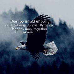 an eagle flying through the air with a quote on it