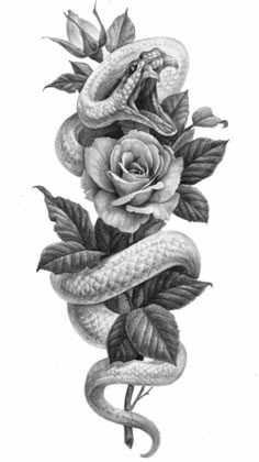 a pencil drawing of a snake and rose with leaves on the bottom, in black and white