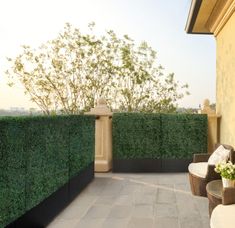 #fake hedge wall#boxwood#party#event#wedding#babyshower#hedge wall#artificial hedge Diy Boxwood Hedge, Artificial Boxwood Hedge, Fake Hedge Wall Outdoor, Boxwood Privacy Wall, Artificial Boxwood Wall Outdoor, Faux Hedge Wall, Privacy Aesthetic, Artificial Hedge Wall, Balcony Seating