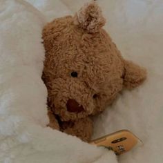 a brown teddy bear laying on top of a white blanket