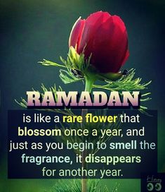 a red flower with the words ramadan on it and an image of a green background