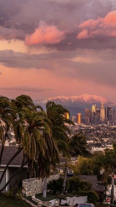 the city skyline with palm trees and mountains in the background