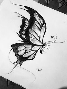 a black and white drawing of a butterfly