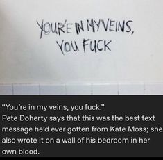 someone wrote this on the wall next to their toilet paper dispenser, which says you're in my veins, you fock