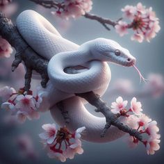 a white snake on a branch with pink flowers