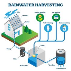 the diagram shows how rainwater harvesting is performed in this house and what it uses