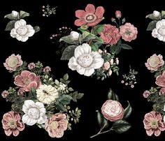 a black background with pink and white flowers